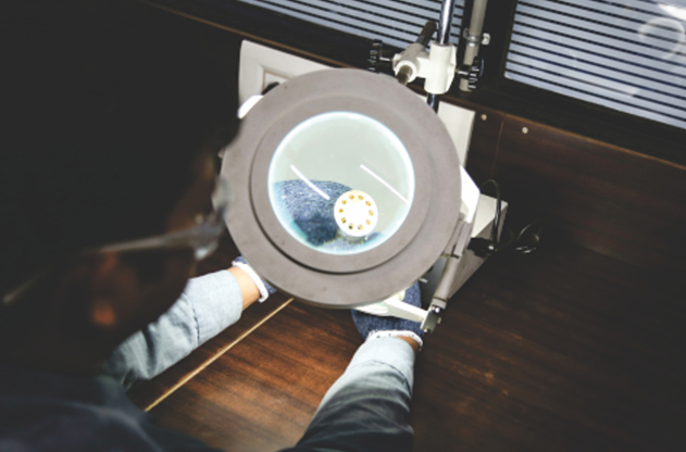 magnifier